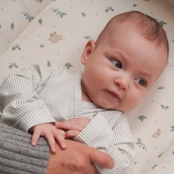Cam Cam Copenhagen Babynest Blueberries