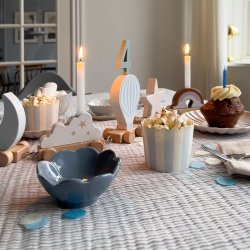 Cam Cam Copenhagen F�dselsdagstog Dreamland