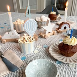 Cam Cam Copenhagen F�dselsdagstog Dreamland