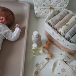 Cam Cam Copenhagen Muslin Cloth Stofble 2-Pak Blueberries