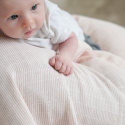 Cam Cam Copenhagen Muslin Cloth Stofble 2-Pak Classic Stripes Rose