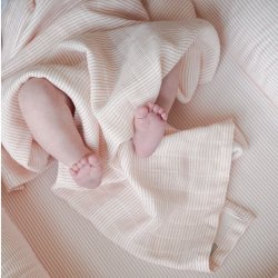 Cam Cam Copenhagen Muslin Cloth Stofble 2-Pak Classic Stripes Rose