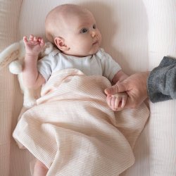 Cam Cam Copenhagen Muslin Cloth Stofble 2-Pak Classic Stripes Rose