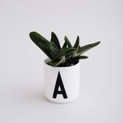 Design Letters Porceln Kop - Hvid