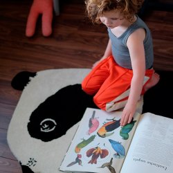 EO play - Panda Tppe