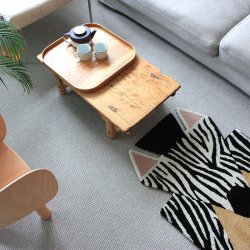 EO play - Zebra Tppe