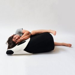 EO play - Zoo - Panda