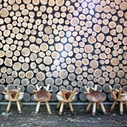 EO Play - Brnestol - Bambi