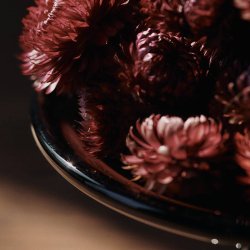 Ferm Living Damo Glass Centrepiece 21 cm Dark Grape