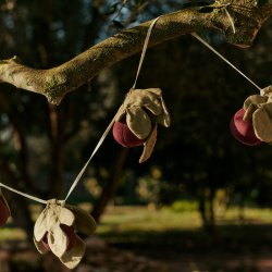 Ferm Living Figs Guirlande Mauve/Grn