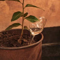 Ferm Living Mercury Vandingskugler 2 stk. Small Clear