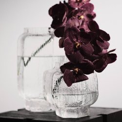 Ferm Living Mokuri Vase H15 cm Klar