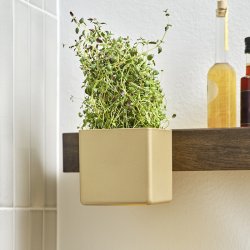 Gejst Flex Boks Lille Messing