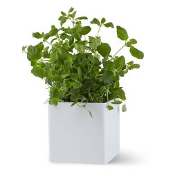 Gejst FLEX Lille Box - Hvid