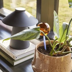 Hbsch Chipper Bordlampe - Sort