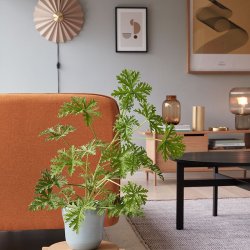 Hbsch Pliss Vglampe - Sand/Messing