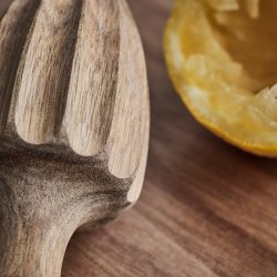 House Doctor Eya Citruspresser