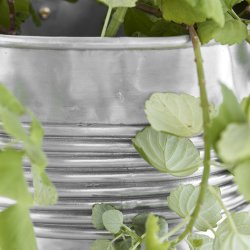 House Doctor Groove Urtepotte 2 stk. Antik S�lvfinish