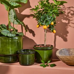 House Doctor Hoop Urtepotte 2 stk. Gr�n