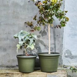 House Doctor Ivy Urtepotte 2 stk. Gr�n