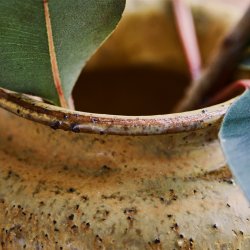 House Doctor Kolo Vase Sennepsgul