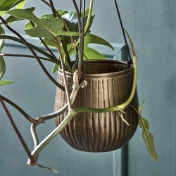 House Doctor Plan Urtepotte 2 stk. Gylden Finish