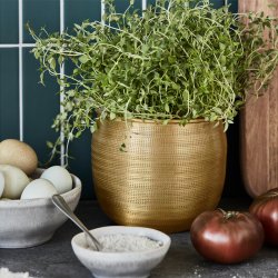 House Doctor Spot Urtepotte 2 stk. Gylden Finish