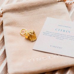 House of Vincent Fdselssten