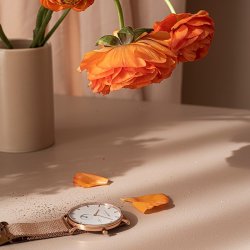 House of Vincent Holm Ur - Midsummer