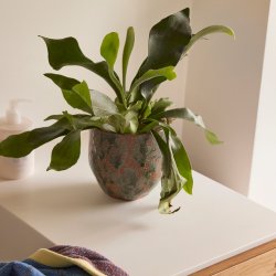 Hbsch Normu Potte St af 2 stk Brun/Grn