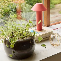 H�bsch Tower Bordlampe R�d