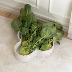 Humdakin Pisa Terrazzo Skl