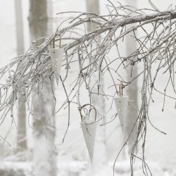 Khler Nobili Krmmerhus Snehvid - 18 cm