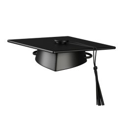 Kay Bojesen Dimissionshue Sort