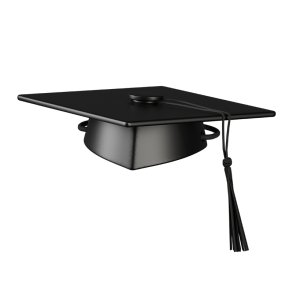 Kay Bojesen Dimissionshue Sort