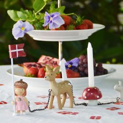 KIDS by FRIIS - Fdselsdagstog - Skovalfer