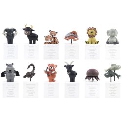 KIDS by FRIIS Stjernetegn