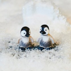 Klarborg Babypingviner Pingo &amp; Pjevs 