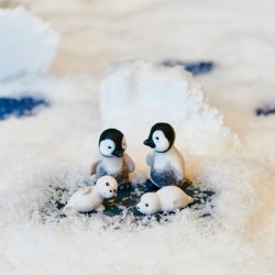 Klarborg Babypingviner Pingo &amp; Pjevs 