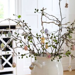 Klarborg Forrs Dyrebrn 2024