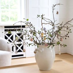 Klarborg Forrs Dyrebrn 2024