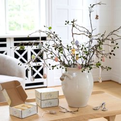 Klarborg Forrs Dyrebrn 2024