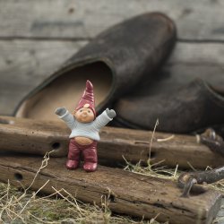 Klarborg Nisse Marius