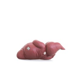 Klarborg Nisse Rikke