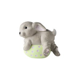 Klarborg Hare Store Nini