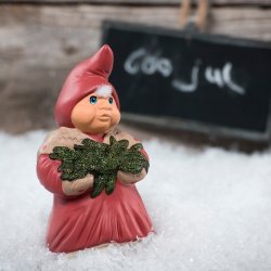 Klarborg rsnissepar 2007 Marcus &amp; Maiken 