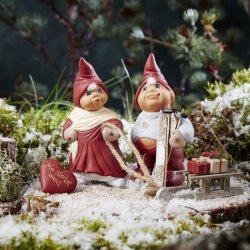 Klarborg rsnissepar 2008 Niels og Anja