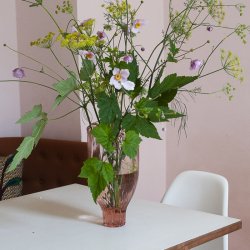 Kodanska Faith Vase 01 Pink