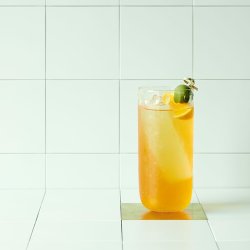 Kodanska - Danish Summer - Longdrink Glas - Spotpris