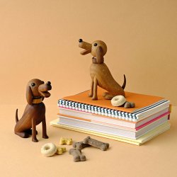 Lucie Kaas Hunden Buster Eg/Valnd